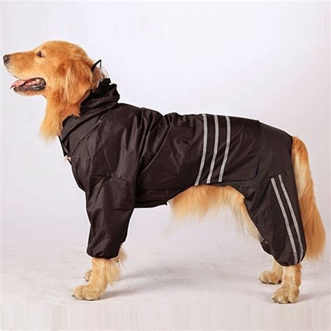 designer clothing for large dogs.